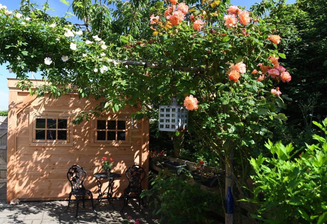 Wadden Eiland Bed En Breakfast Op Texel Oudeschild Exterior photo