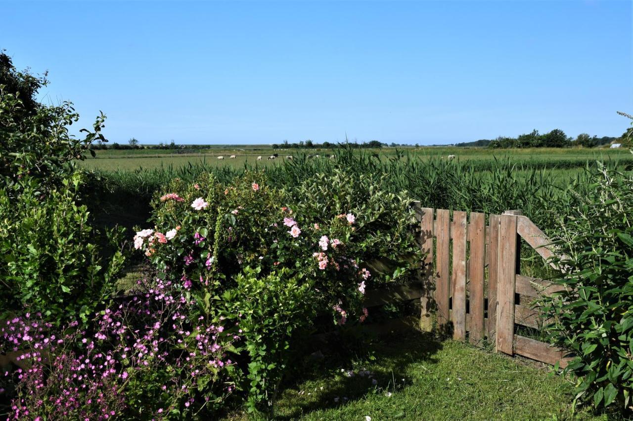 Wadden Eiland Bed En Breakfast Op Texel Oudeschild Exterior photo